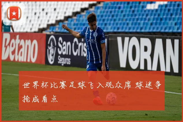 世界杯比赛足球飞入观众席 球迷争抢成看点