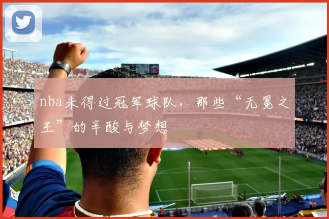 nba未得过冠军球队，那些“无冕之王”的辛酸与梦想